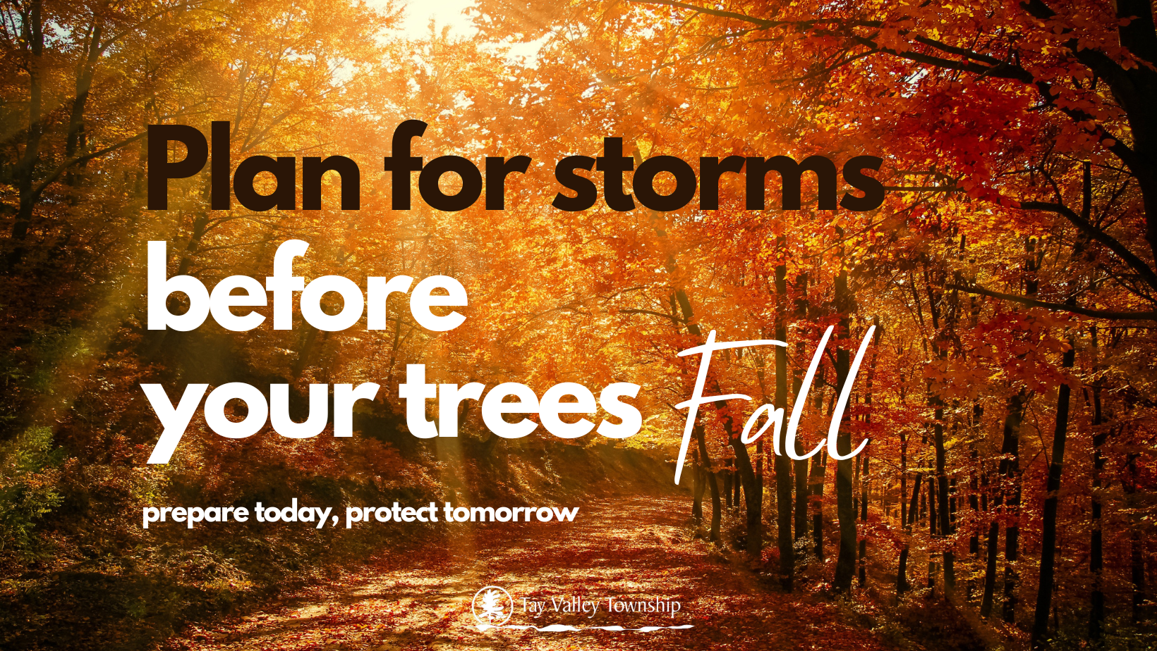 Emergency Preparedness Poster showing autumn leaves. Text reads: Plan for storms before your trees Fall. Prepare today, protect tomorrow.