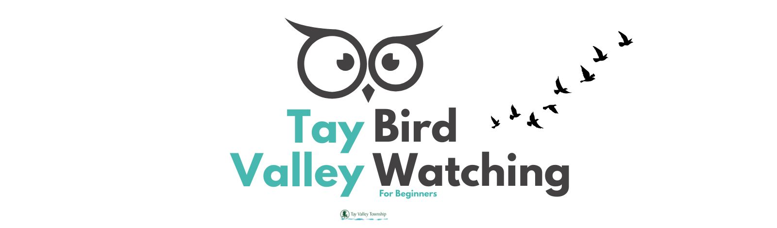 Bird Watching Banner website