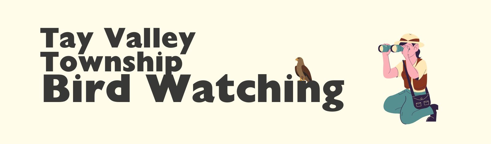 Bird Watching Banner