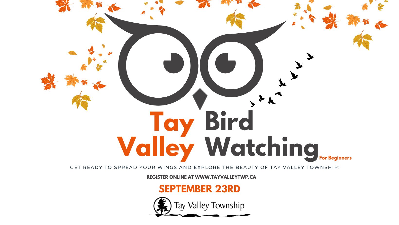 Bird Watching Poster