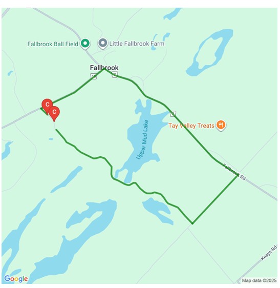Anderson Side Road Bridge Replacement