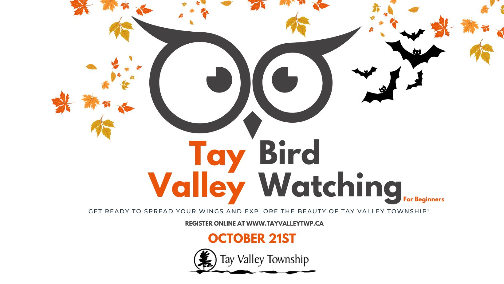 Bird Watching Poster