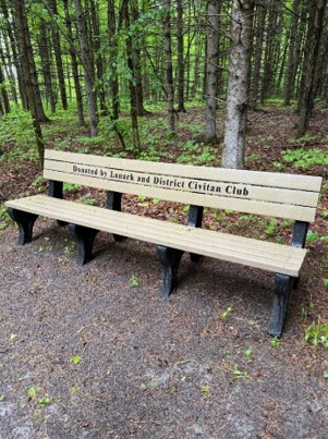 Forest Trail Bench 