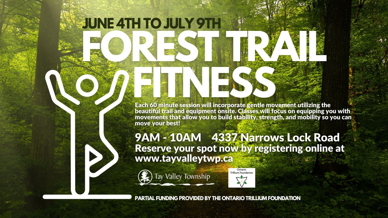 Forest Picture with fitness 