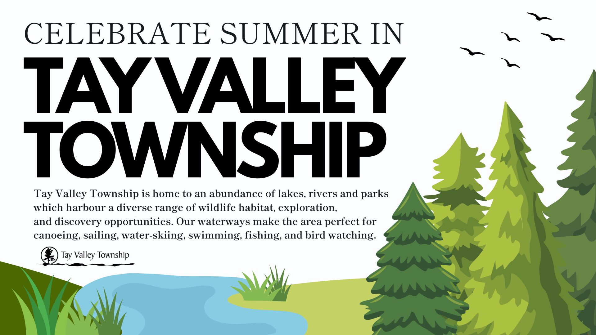 TVT Summer Poster