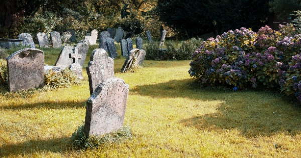 Old Headstones on Grassy Field 