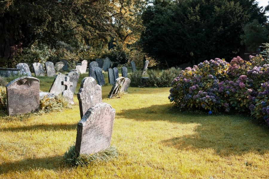 Cemetery head stones in a grassy field on a sunny day
