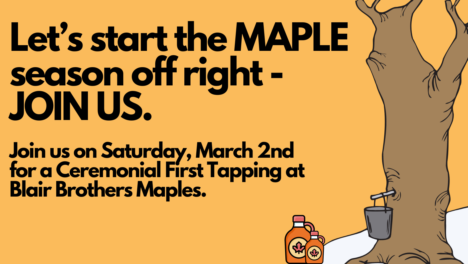 Maple Tree, Tapping, Syrup Bottles