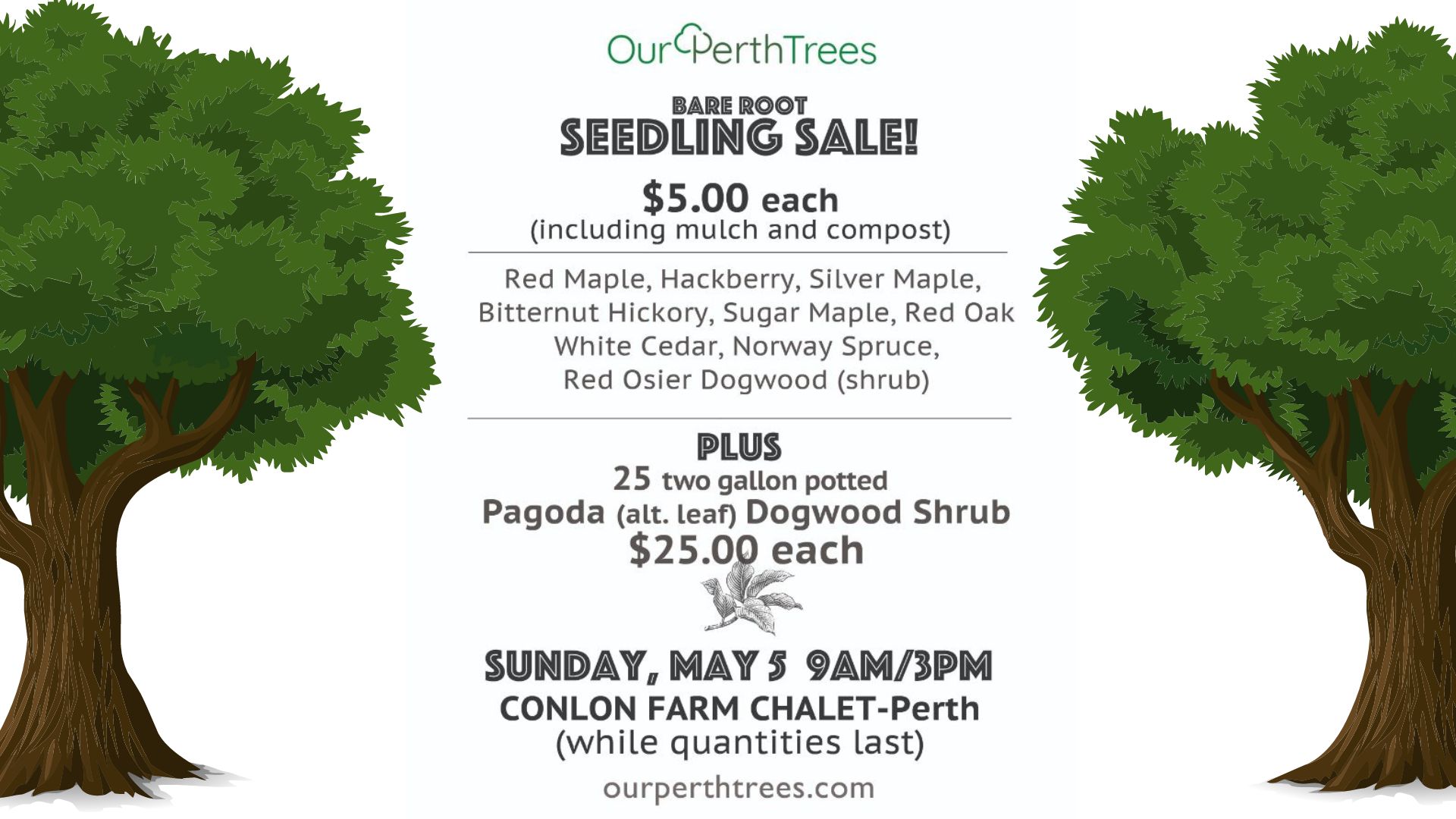 Trees, Seed Sale