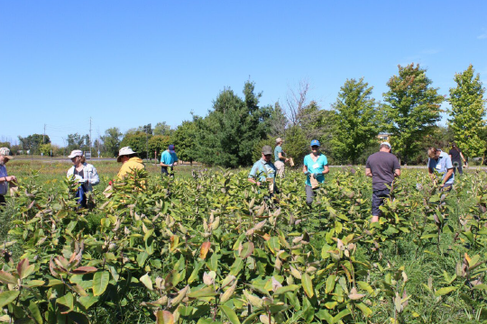 People working in a field 