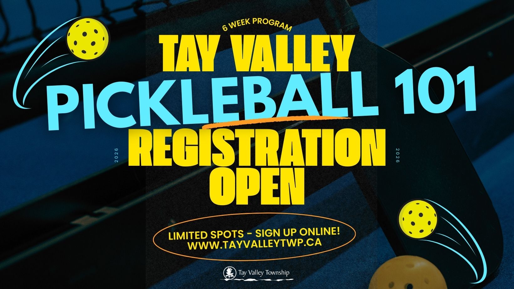 Pickleball 101 Poster