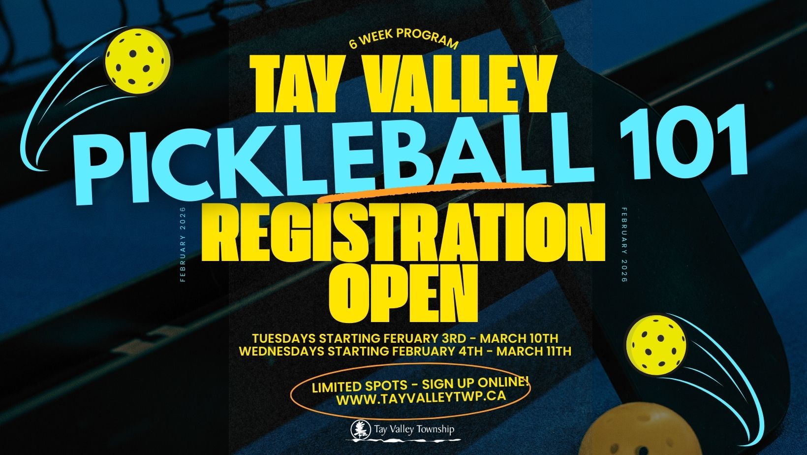 Pickleball 101 Poster