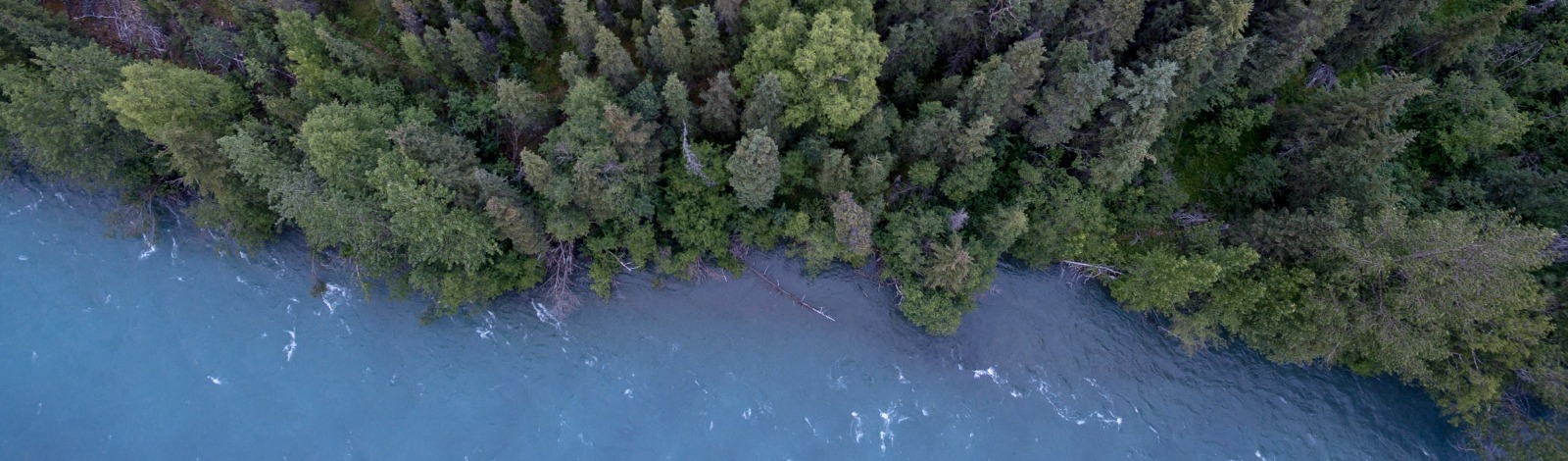 aerial view of river 