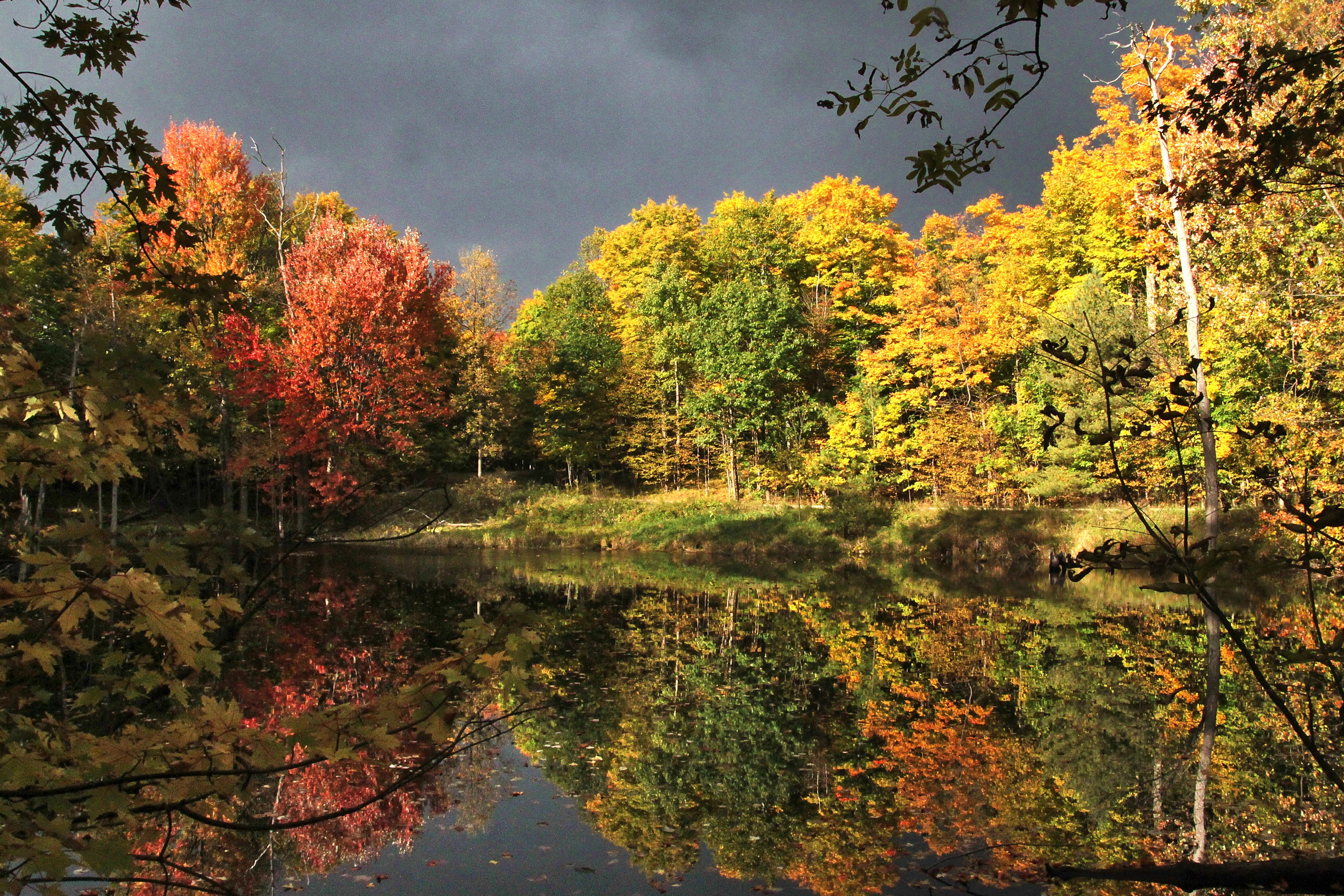 Trees in fall colour on the waters edge