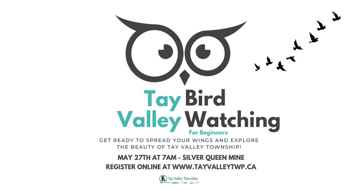 Bird Watching Poster