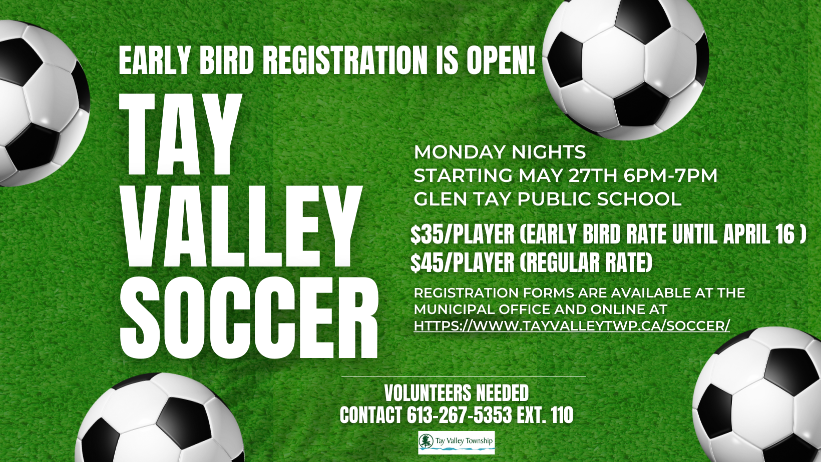 soccer balls, green background, poster, registration is open