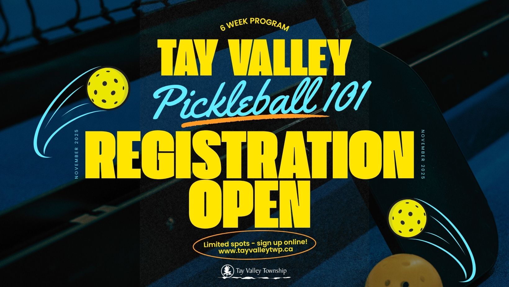 Pickleball 101 Poster 2025