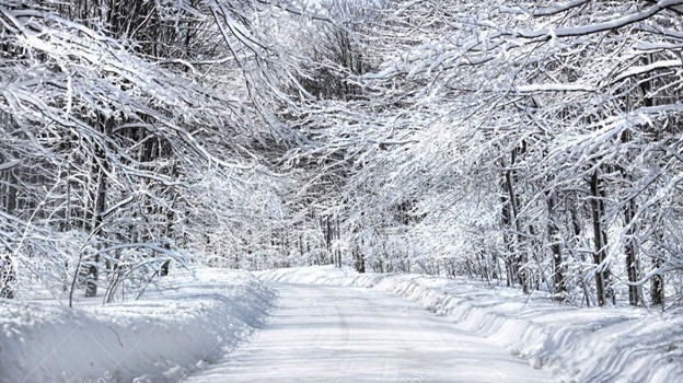 snow covered gravel road