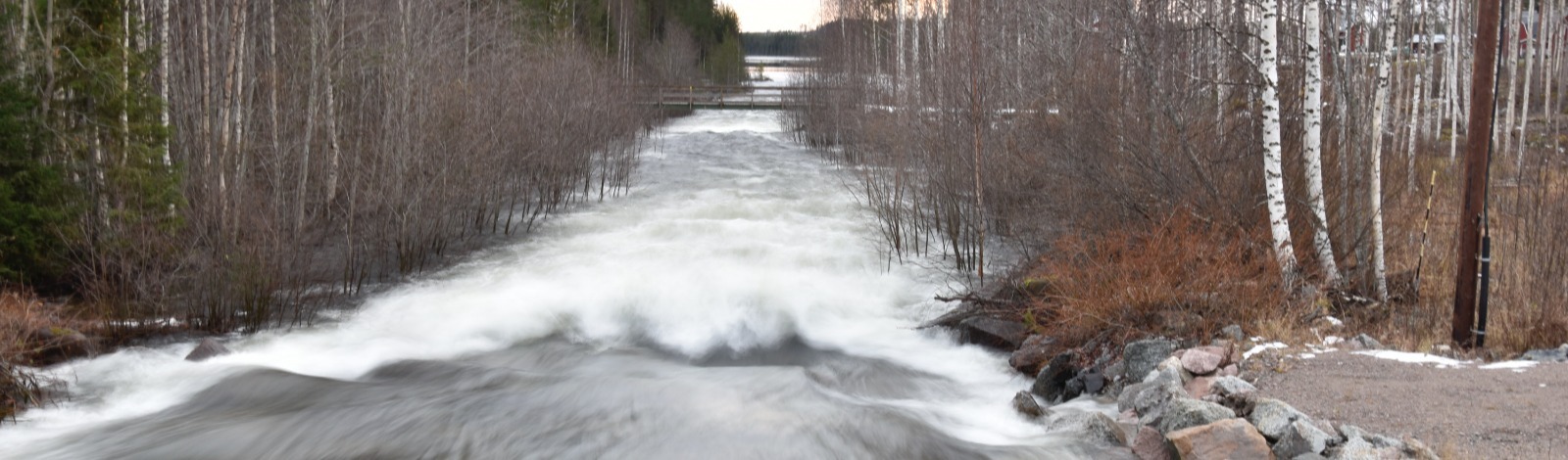 fast water rushing through trees