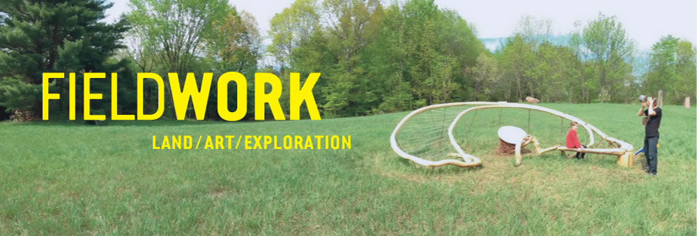 Fieldwork banner image
