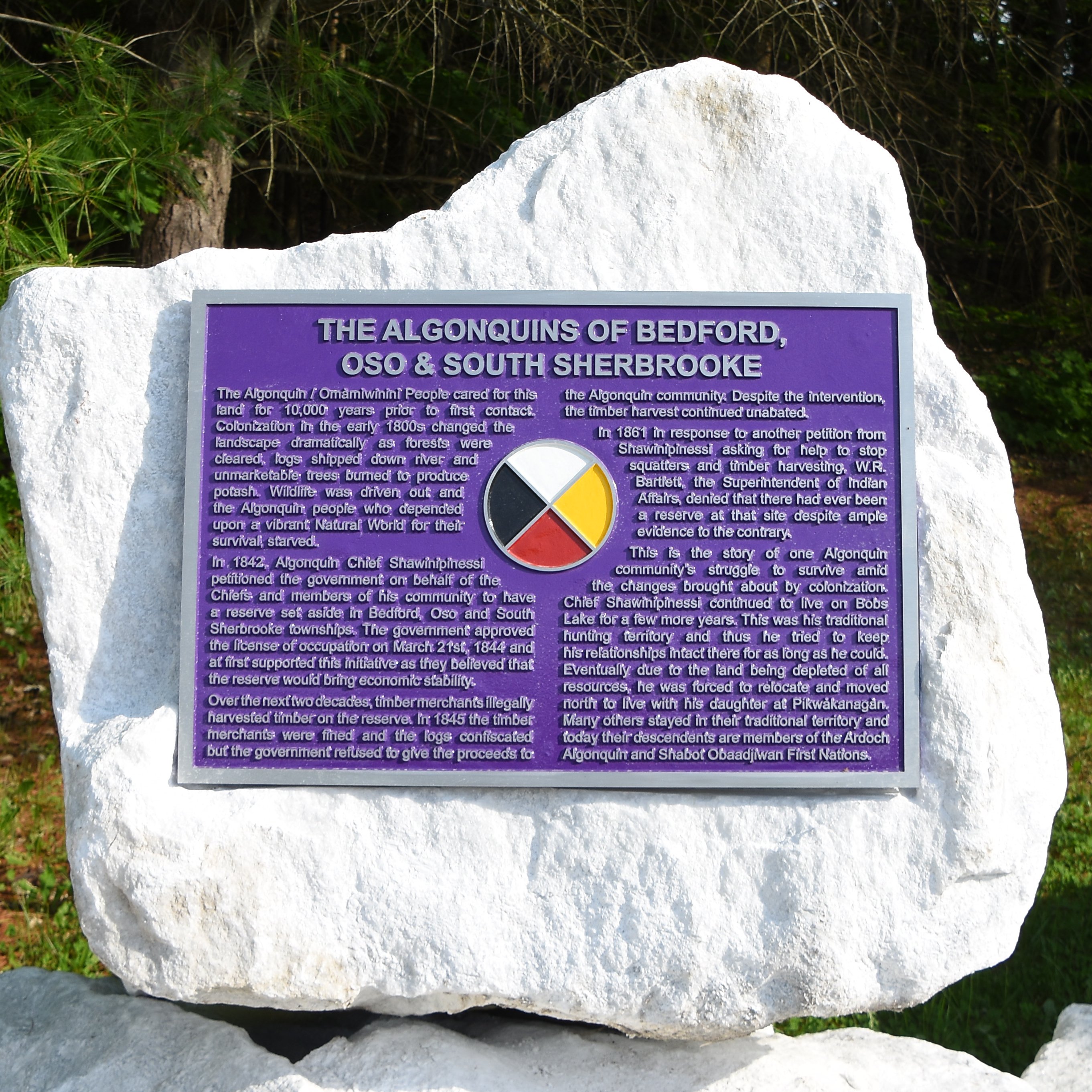 white stone with purple plaque