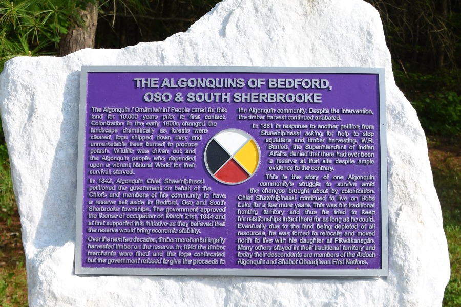 White Stone with purple plaque