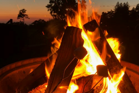 marshmallows on sticks over a bonfire