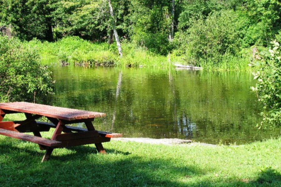 picnic table a rivers edge