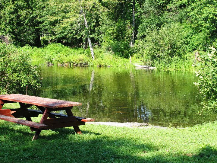 picnic table on river
