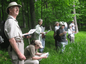 people looking over a field