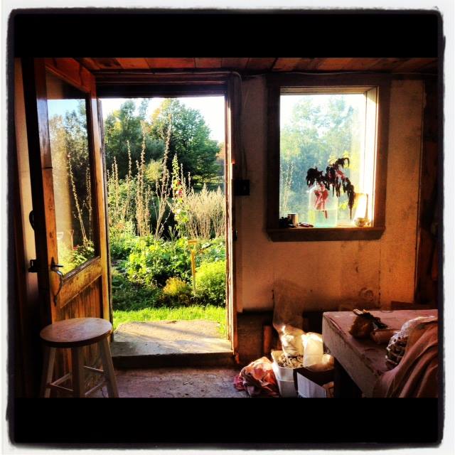looking out door of Perth Authum Studio