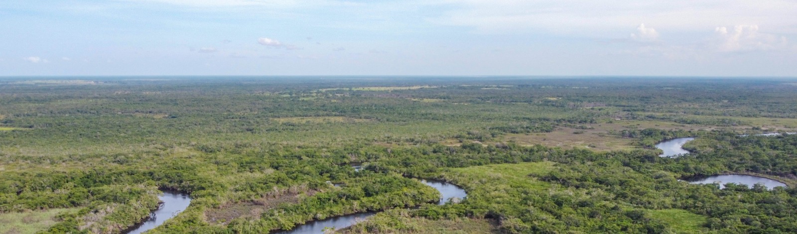 aerial photo of land