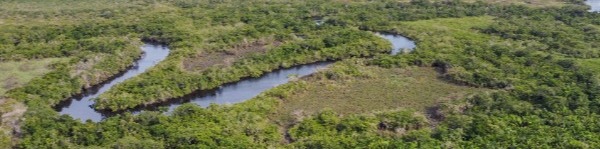 Aerial photo of land