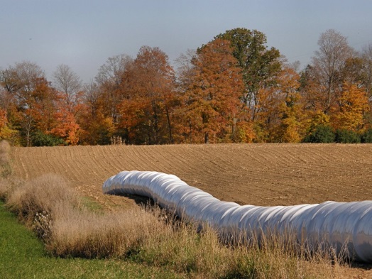 Hay Bales in Field