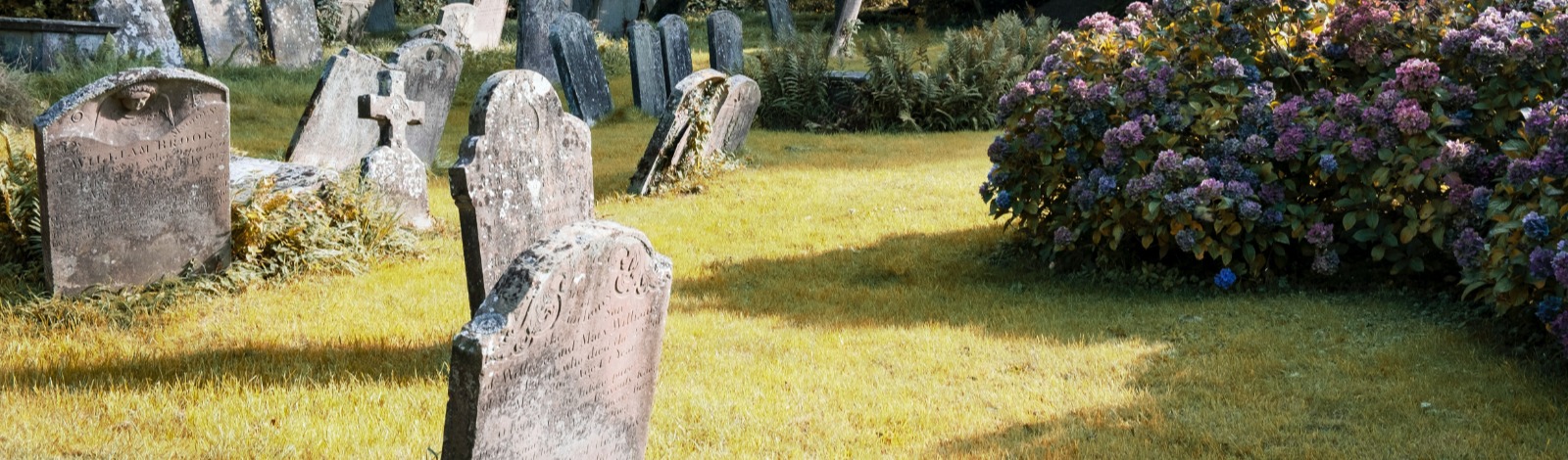 gravestone markers and lilacs