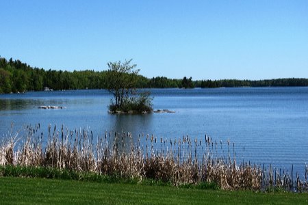 lake with small island and treeline