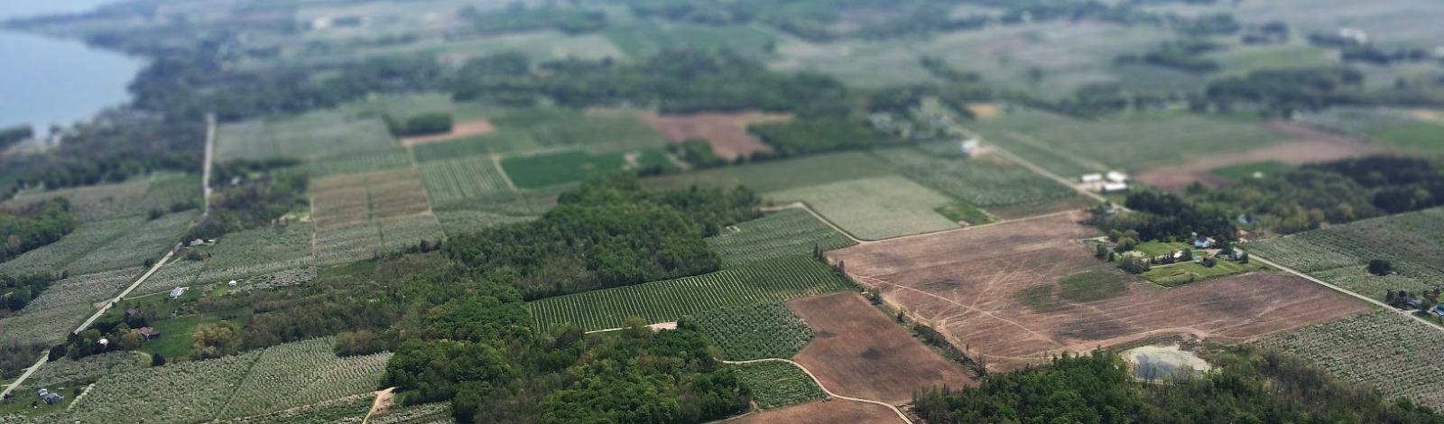 aerial photo of land