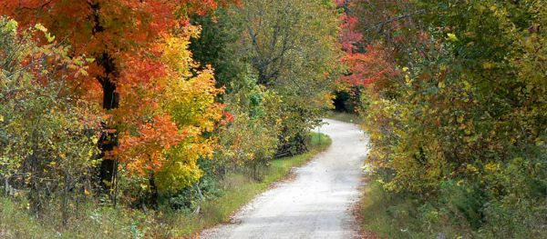 country road in the fall