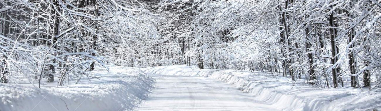 snow covered gravel road