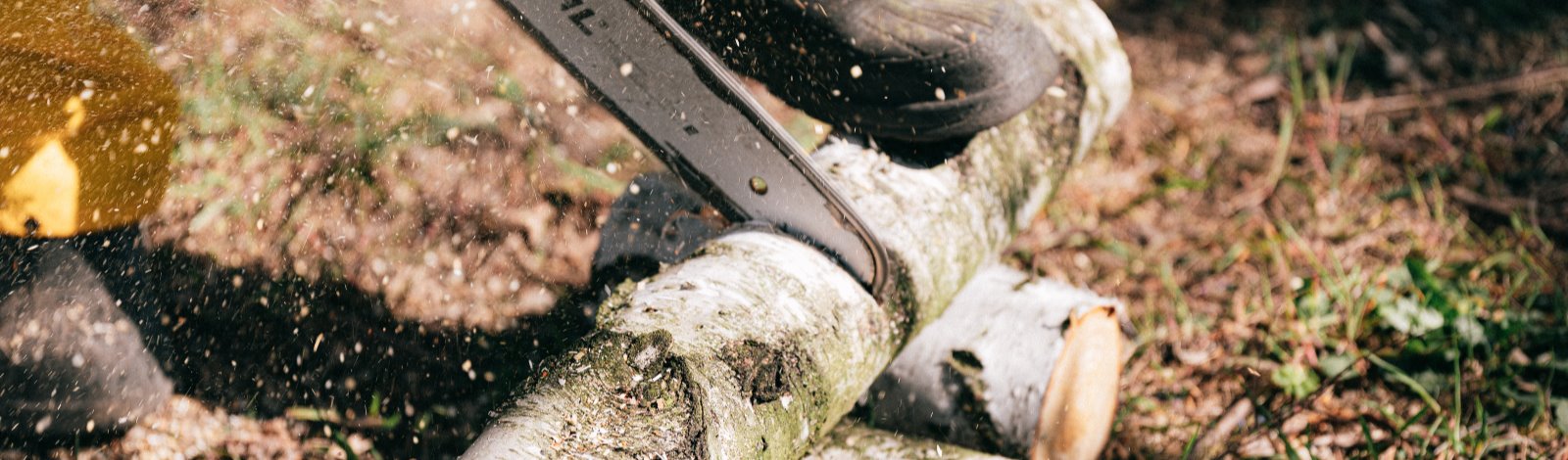 man with chainsaw cutting logs