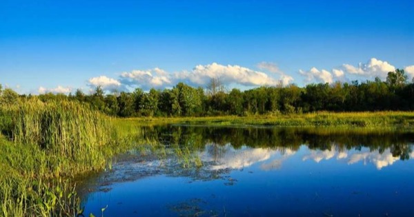 Photo of location for future Maberly Fall River Park 