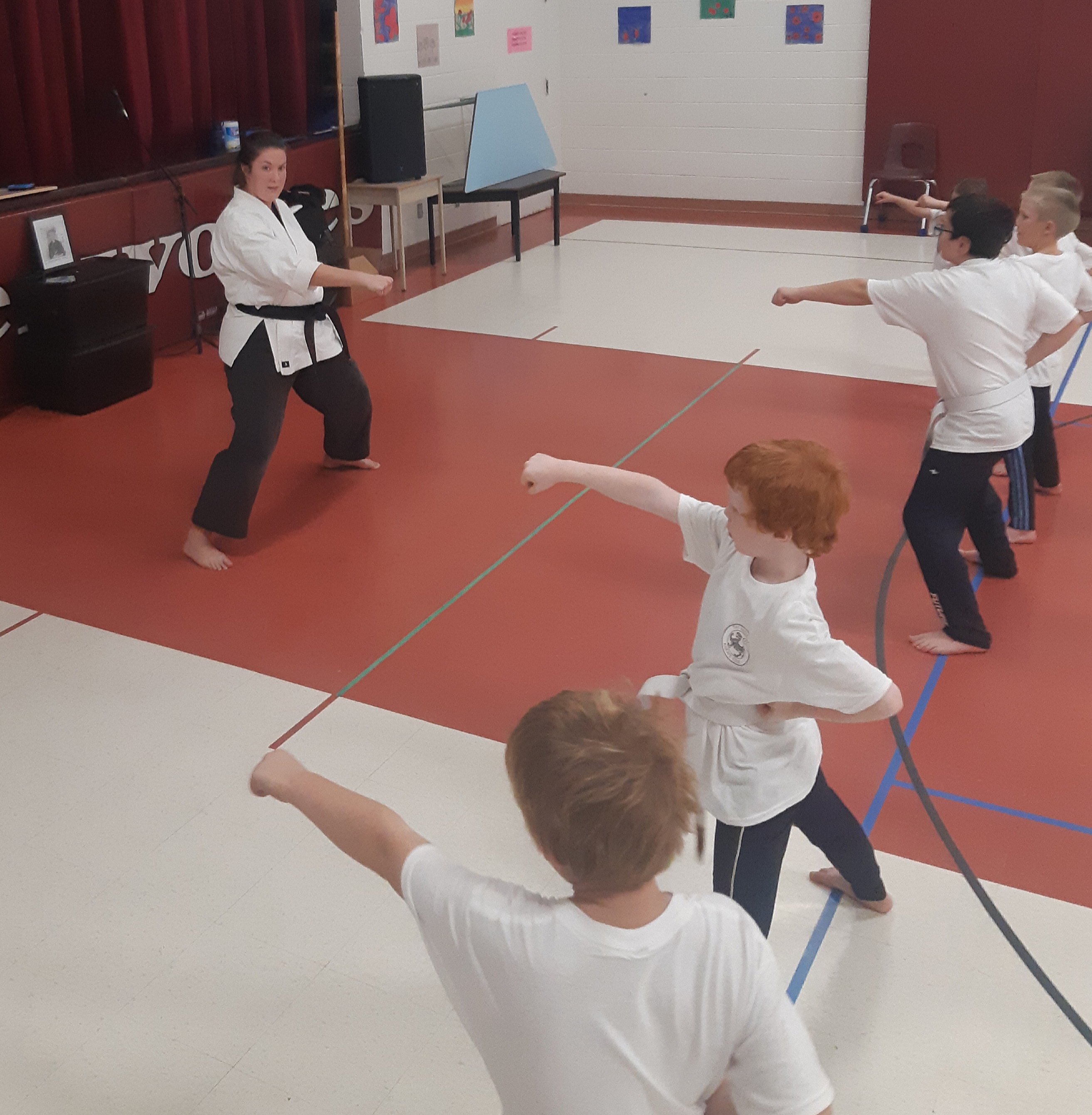 Karate Action Shot