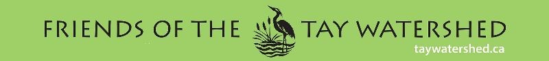 Friends of the Tay Watershed Logo