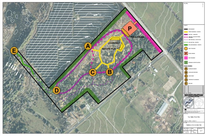 Forest Trail Concept Map