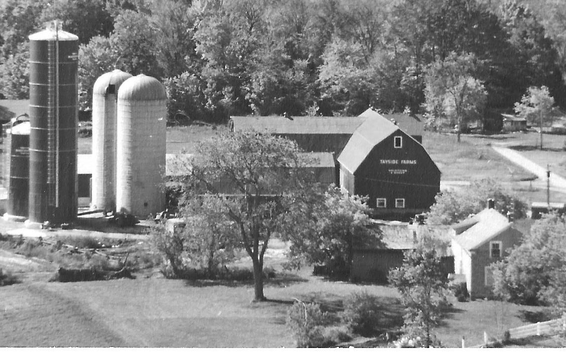 Tayside Farms 1975