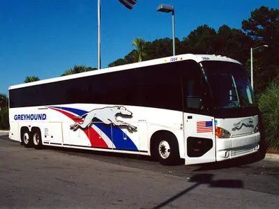 greyhound.jpg